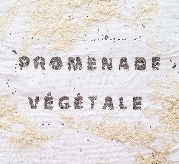 projet dnmade